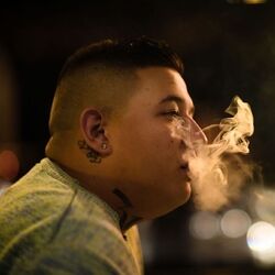 Picture of Rico