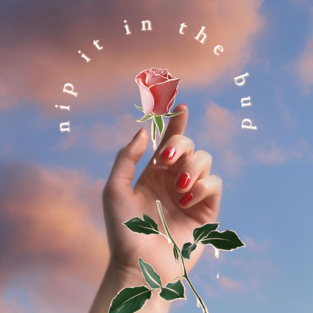 Picture of Planttvibes
