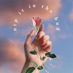 Picture of Planttvibes