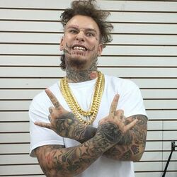 Picture of Stitches
