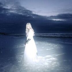 Picture of Wisp