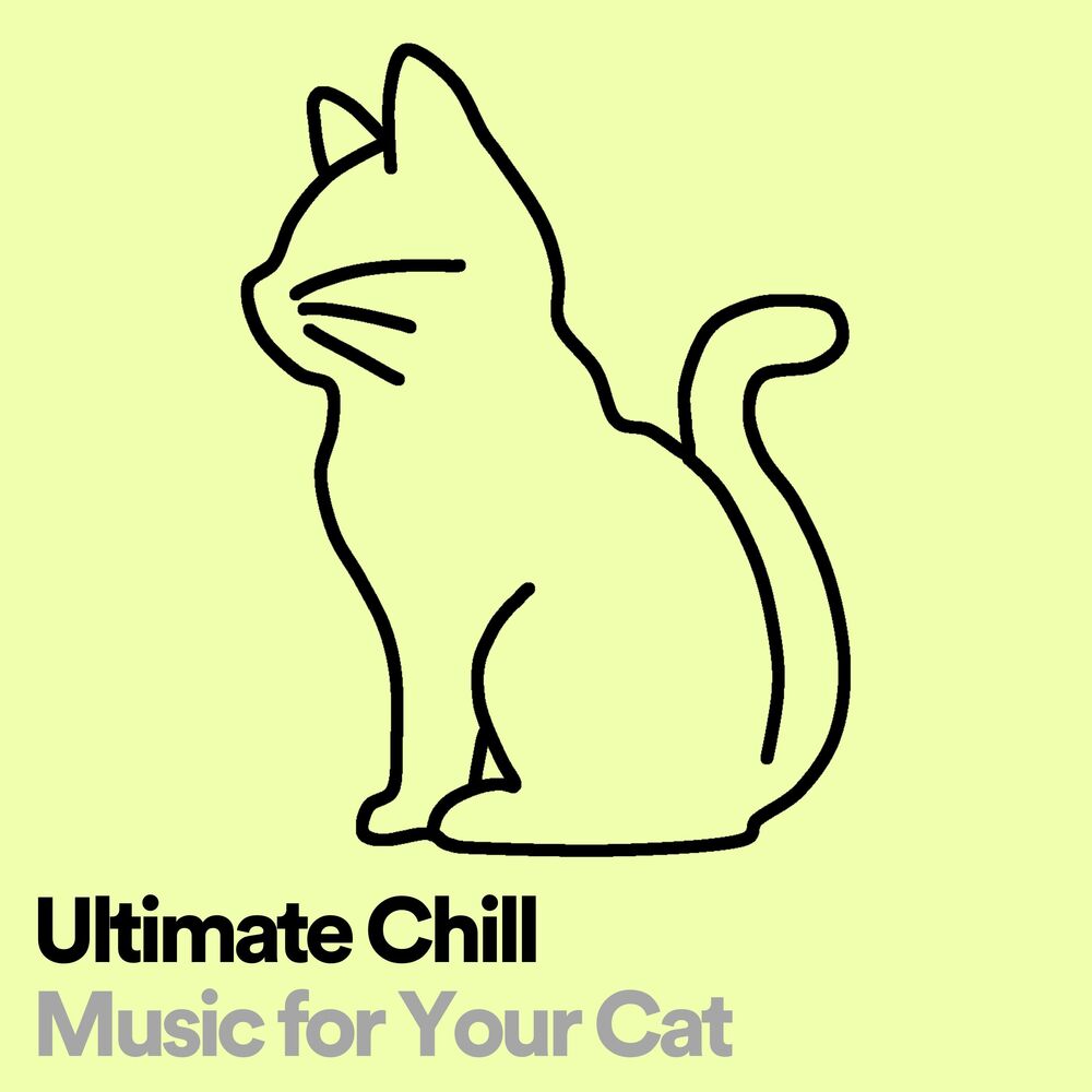 Picture of Cats Music Zone