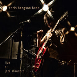 Picture of Chris Bergson Band