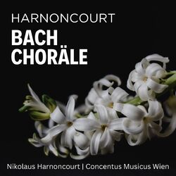 Concentus musicus Wien