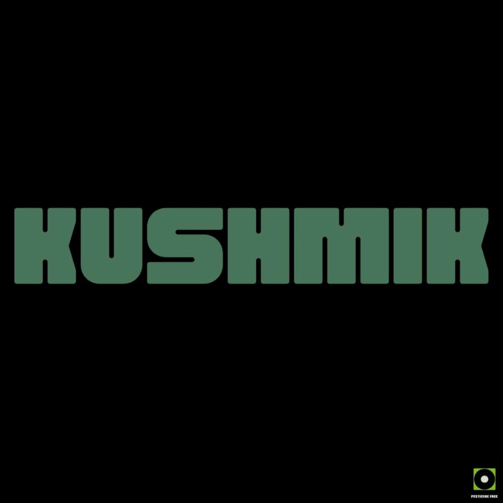 Photo de l'artiste Kushmik