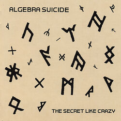 Picture of Algebra Suicide