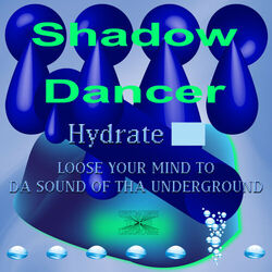 Picture of Shadow Dancer