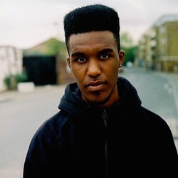 Picture of Novelist