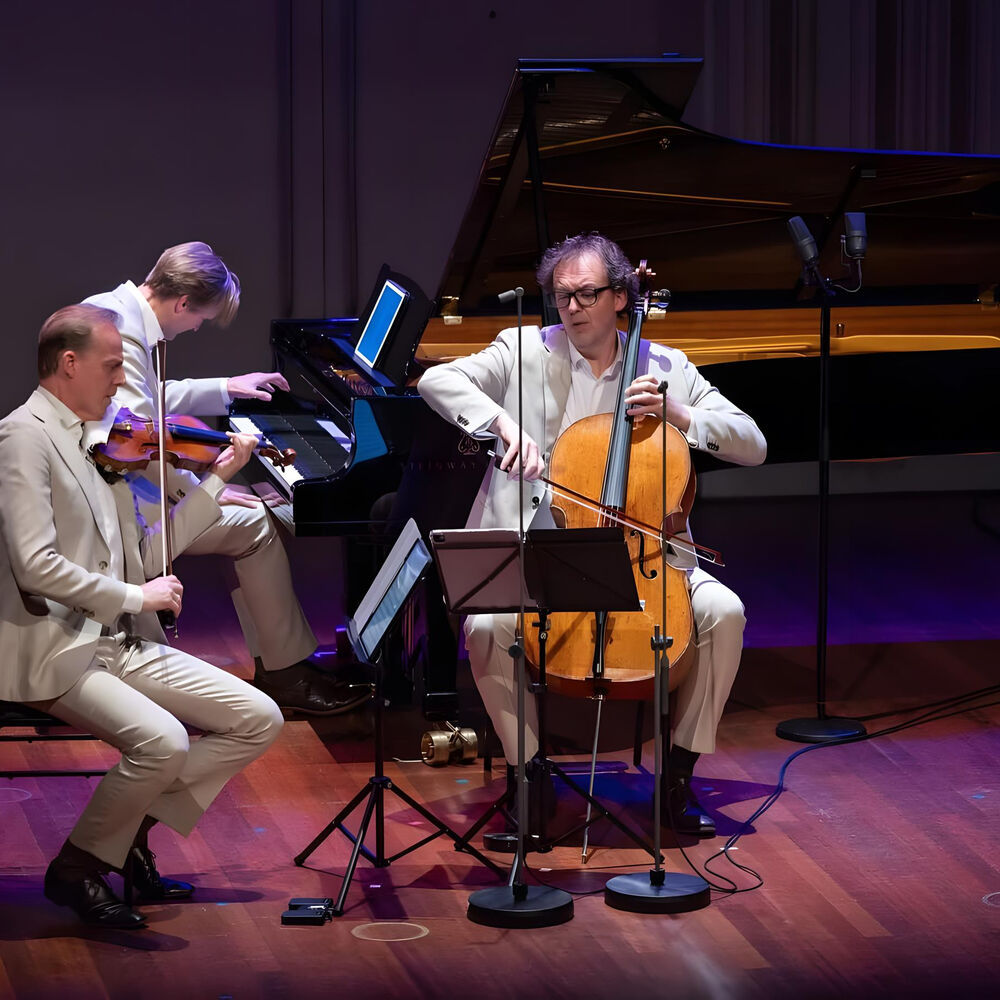 Picture of Storioni Trio