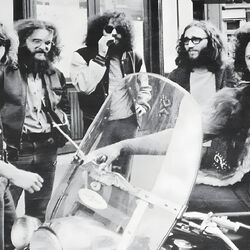 Picture of King Harvest