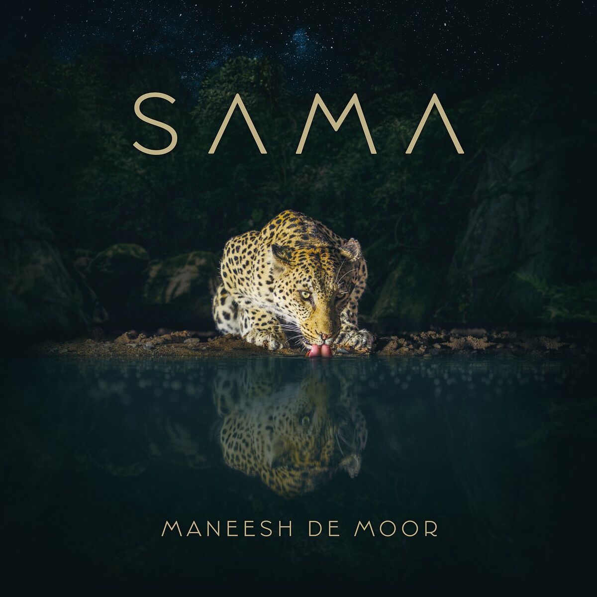 Maneesh de Moor