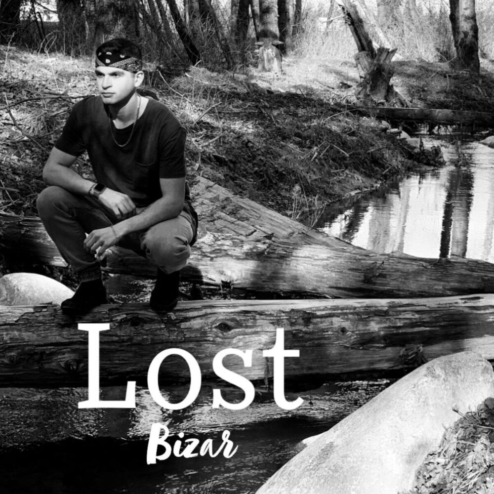 Picture of Bizar