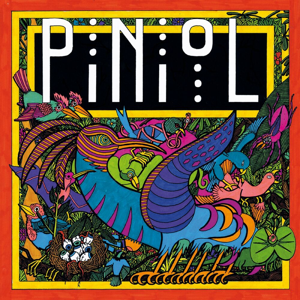 Picture of PinioL