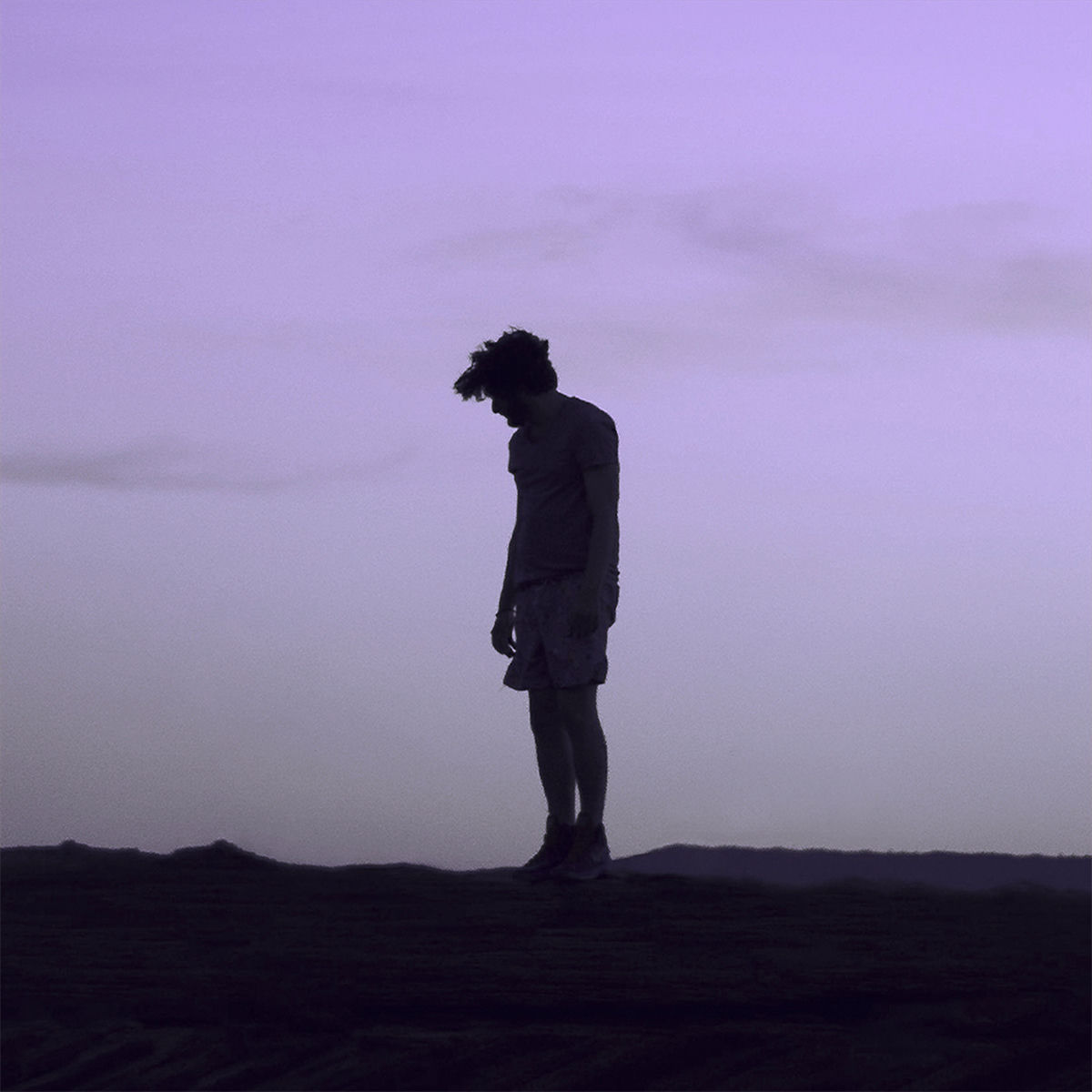 Artist picture of Willow