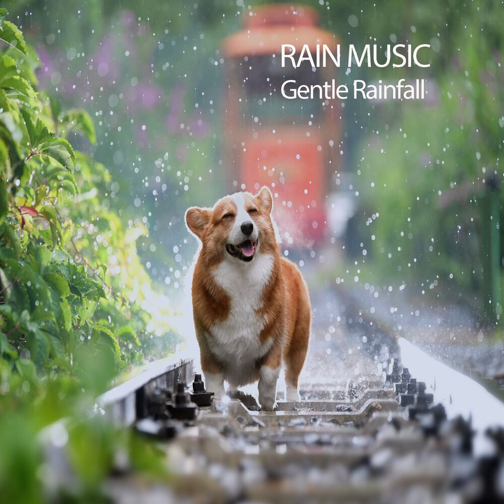 Picture of Study Music Experience