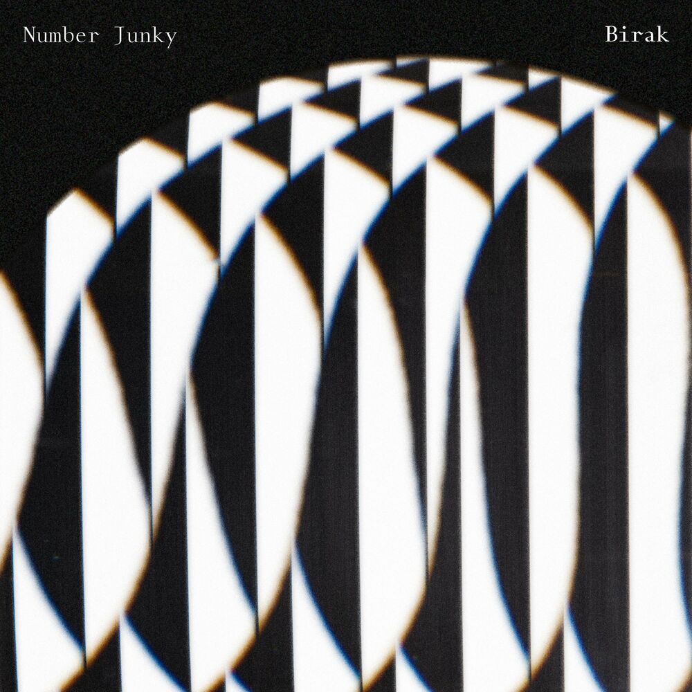 Picture of Number Junky