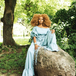 Picture of Shuga