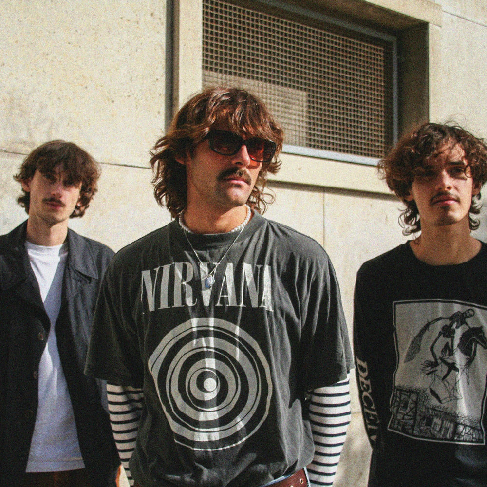 Photo de l'artiste Loons