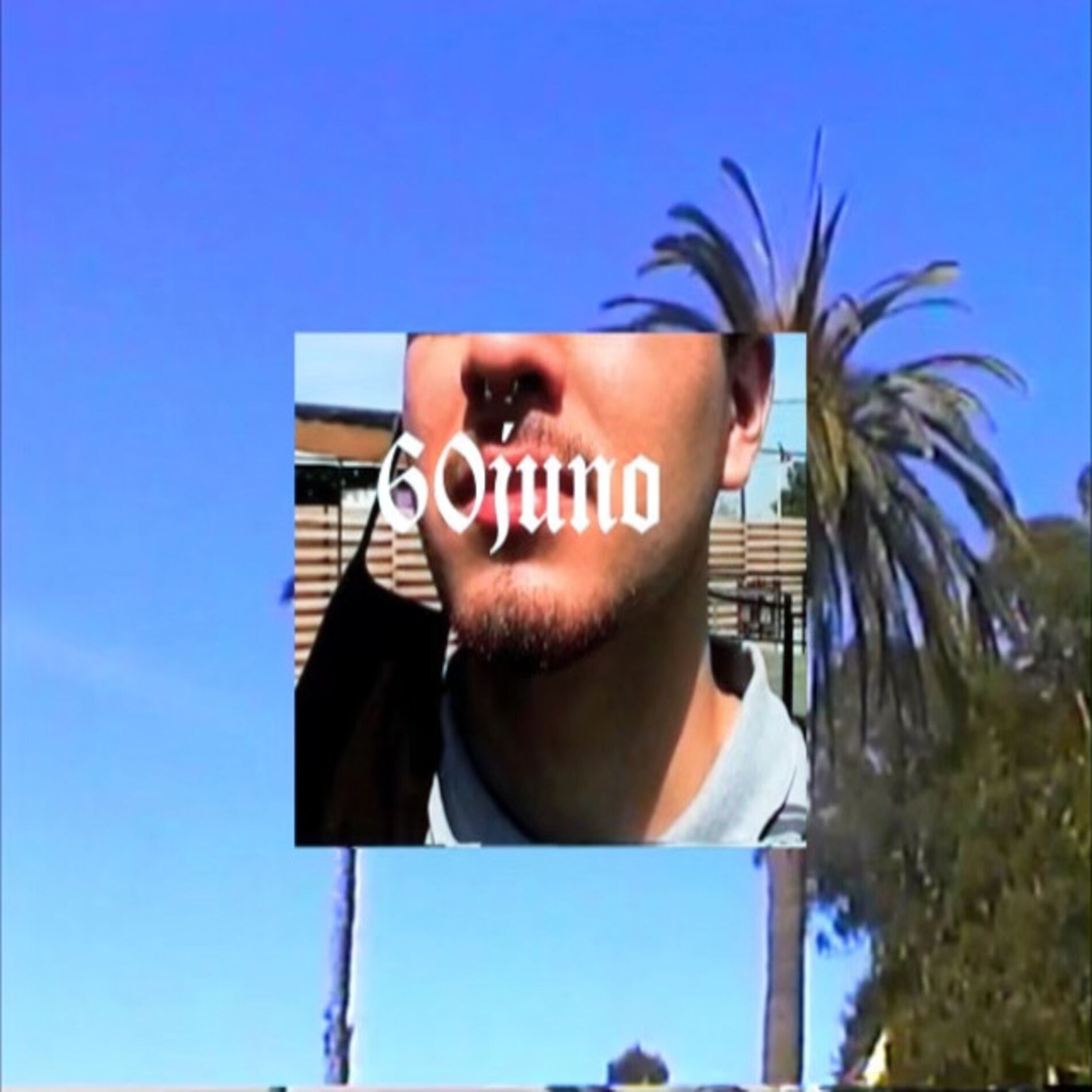 60 juno