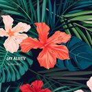 Jay Aliyev