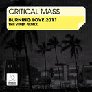 Critical Mass