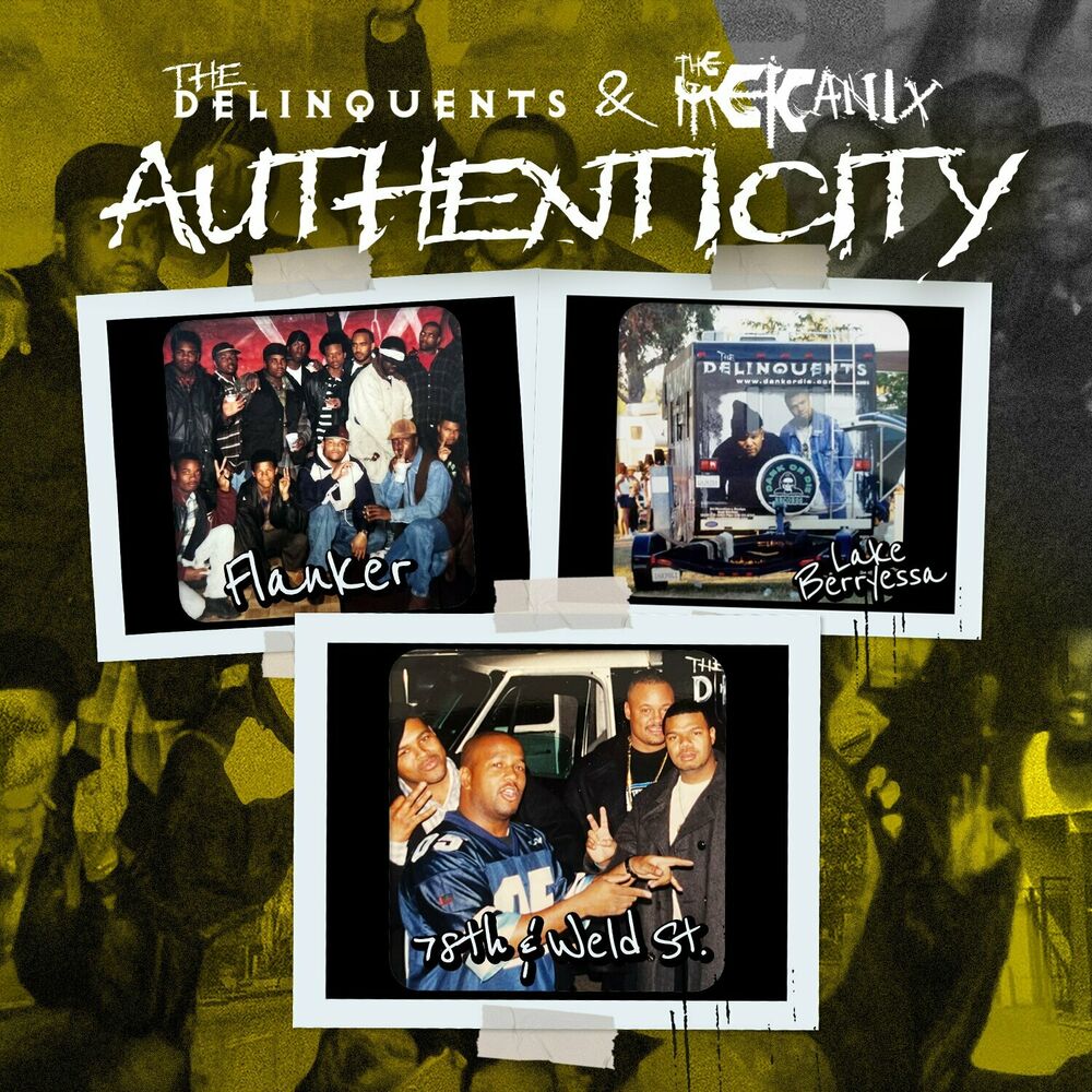 Picture of The Delinquents