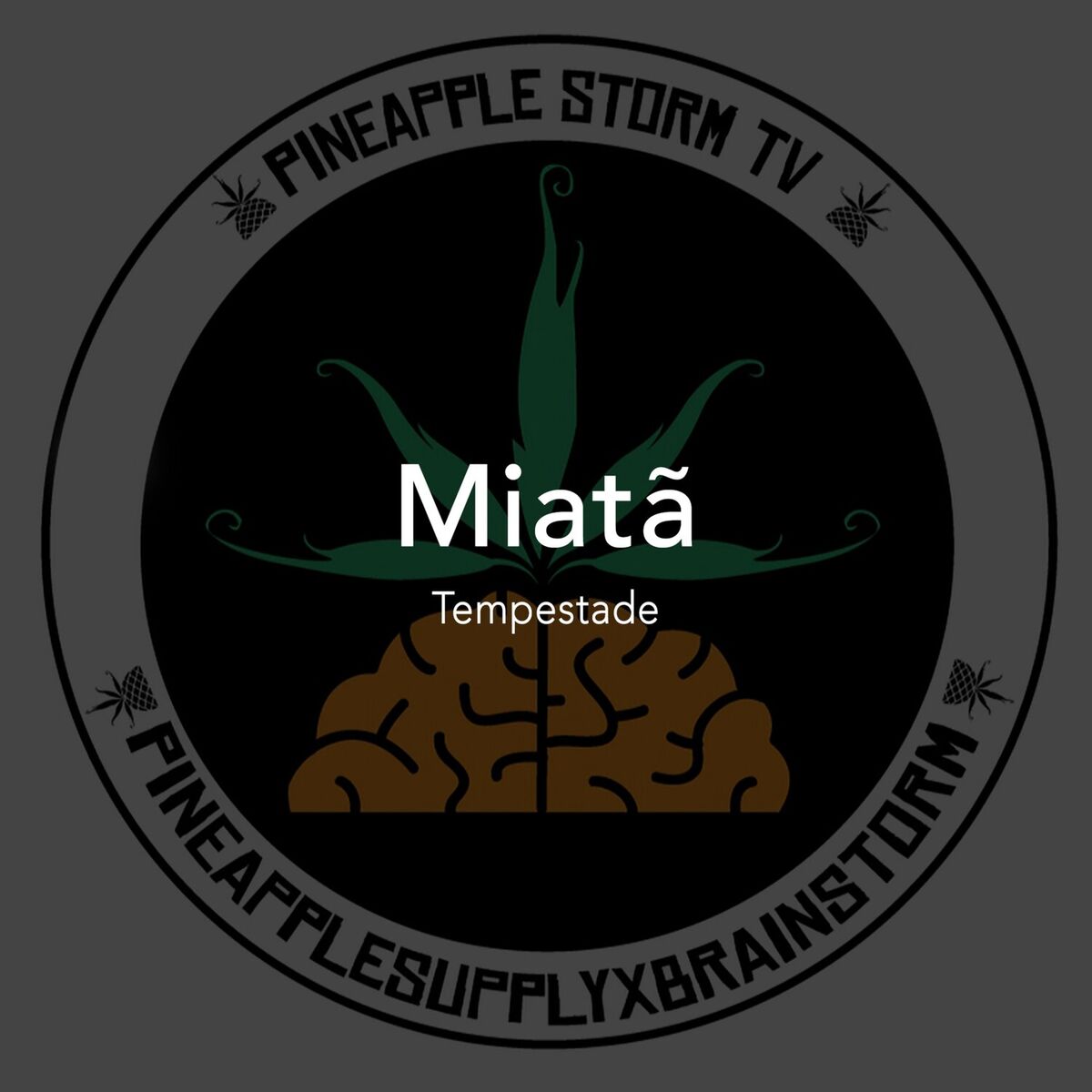 Artist picture of Miatã