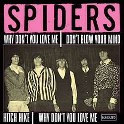 Picture of The Spiders