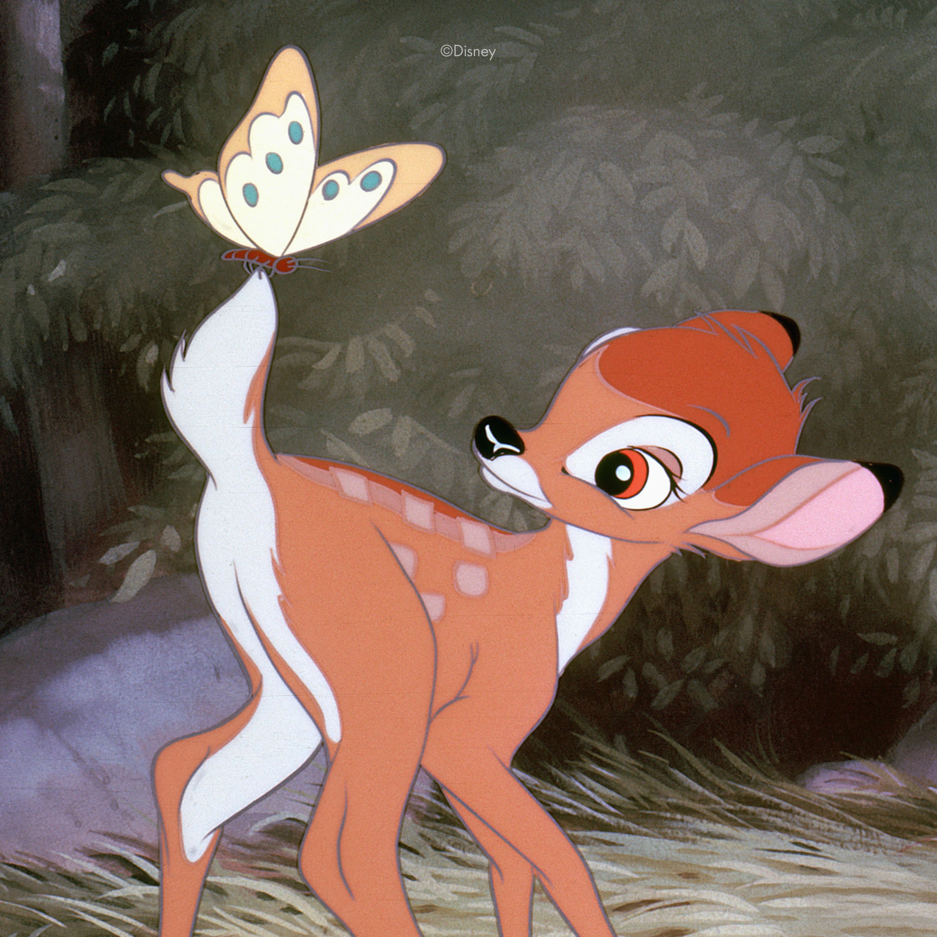 Artist picture of Bambi