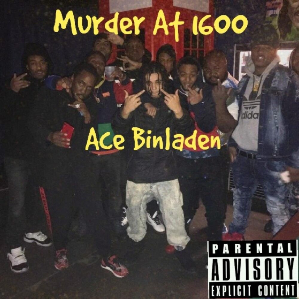 Picture of Ace Binladen