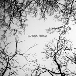 Picture of Random Forest