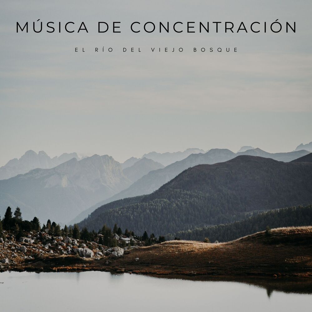 Picture of Musica para Concentrarse Curacion