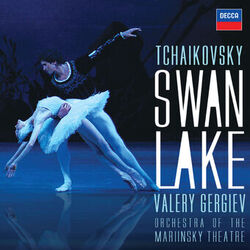 Picture of Mariinsky Orchestra