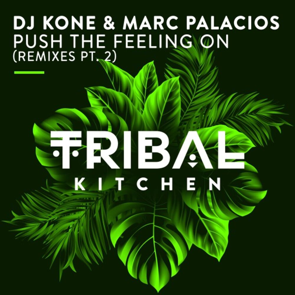 Picture of DJ Kone