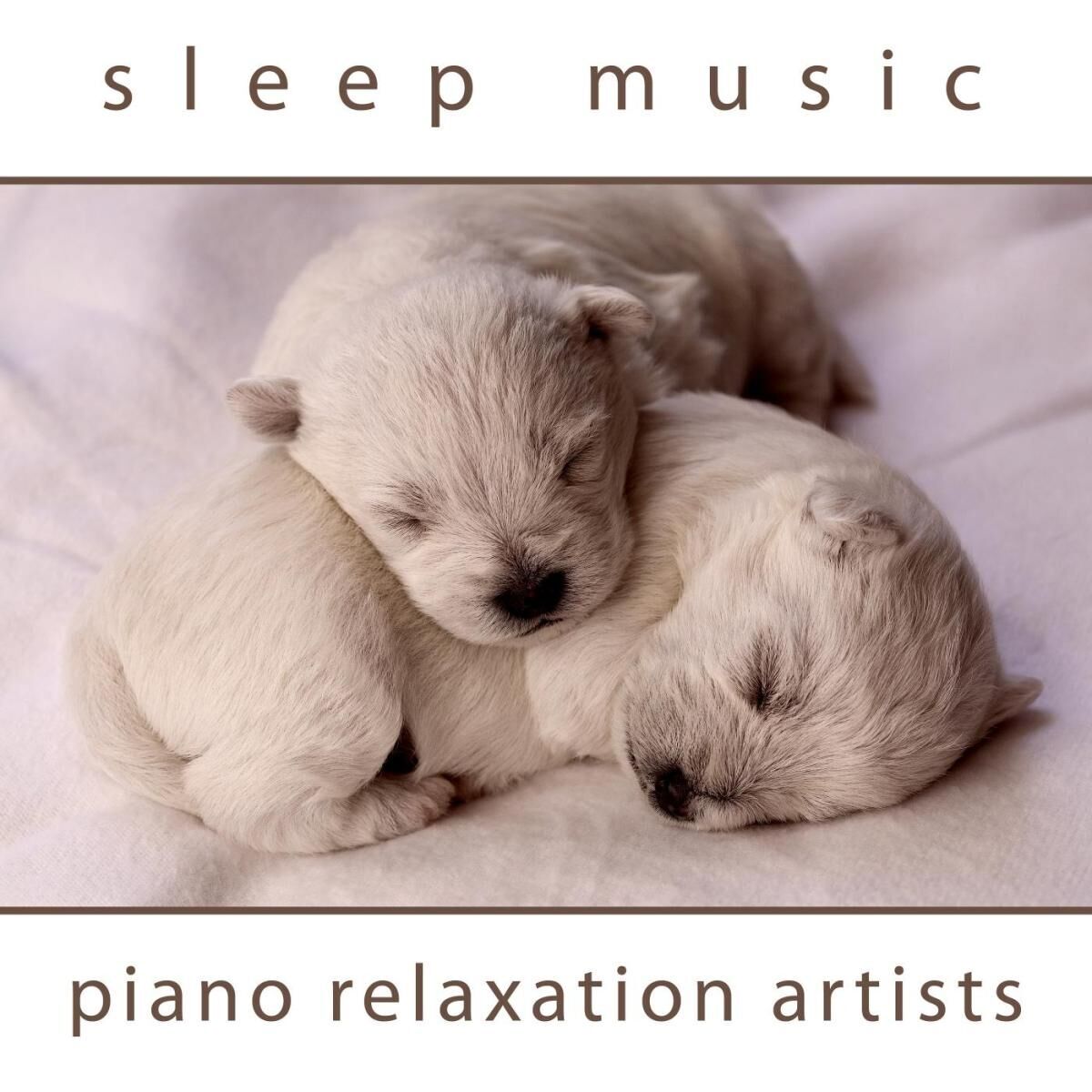 Artist picture of Piano Relaxation Artists