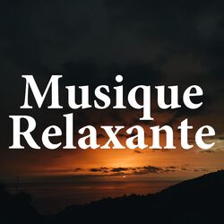 Picture of Musique Ambiance Détente & Musique spa spécialistes