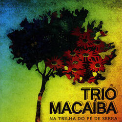 Picture of Trio Macaíba