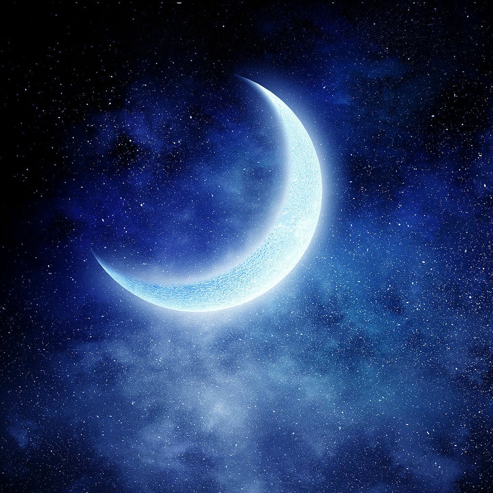 Photo de l'artiste Friede