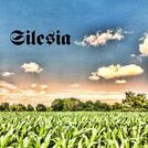 Musica Silesia