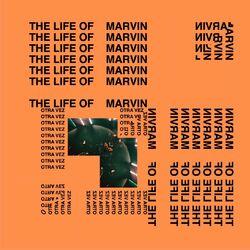 Picture of ProdMarvin