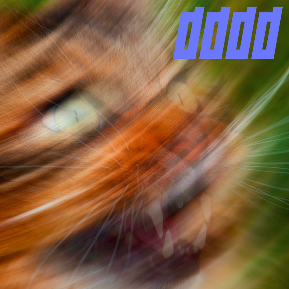 Photo de l'artiste Donald Durand