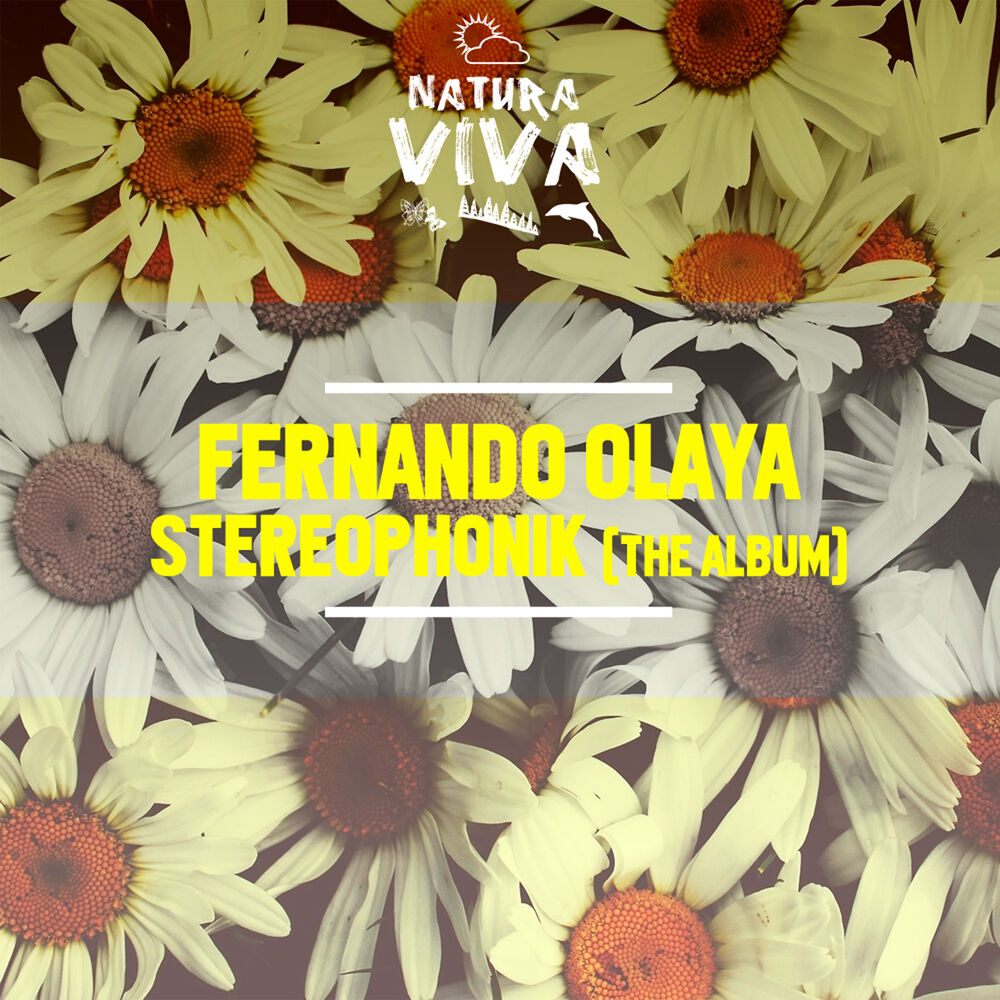 Picture of Fernando Olaya