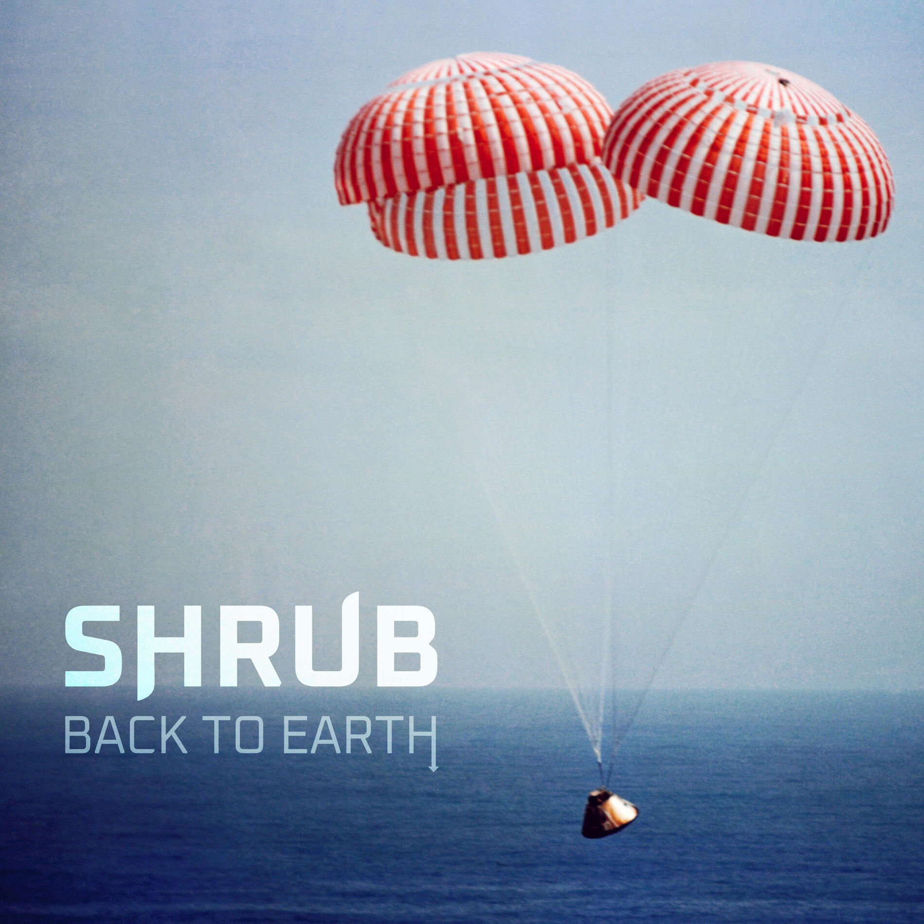 Shrub