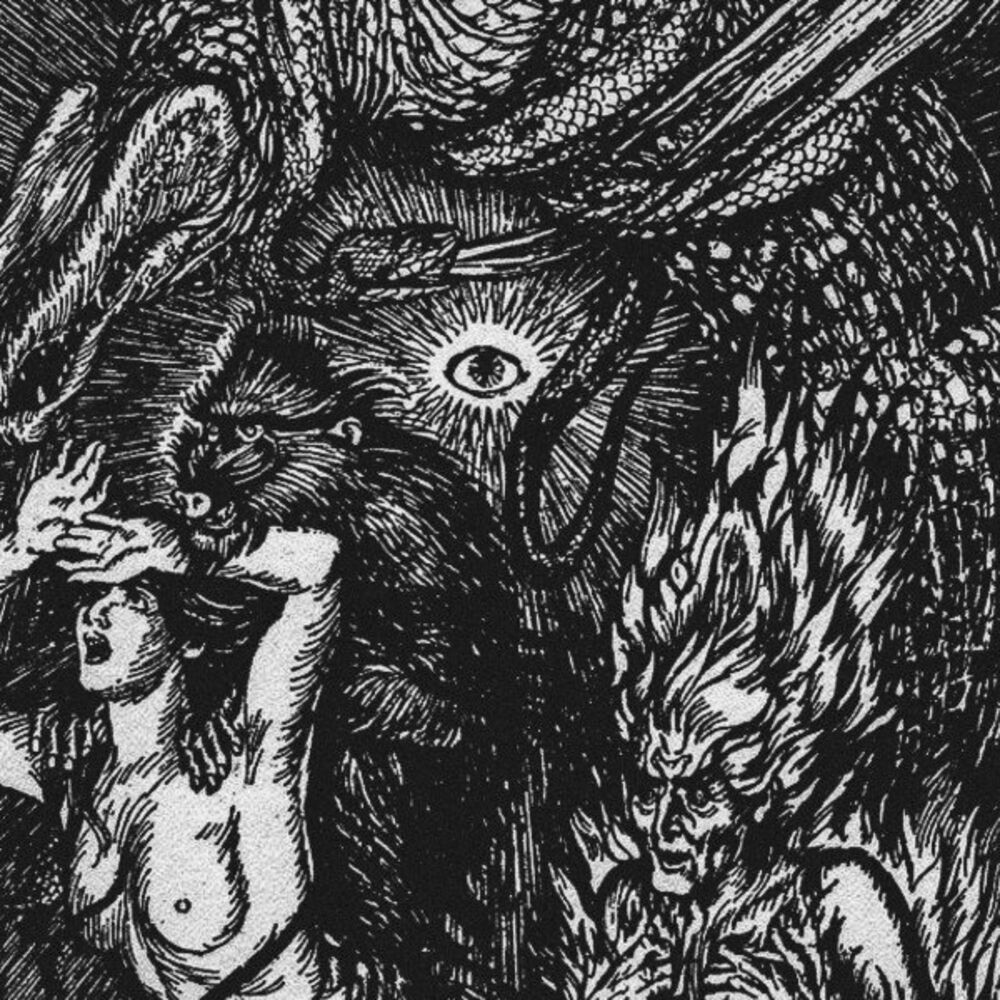 Picture of Inhalt Der Nacht