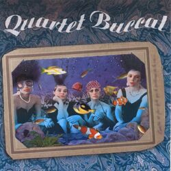 Picture of Quartet Buccal