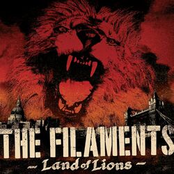 Picture of The Filaments