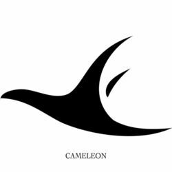 Picture of Caméléon