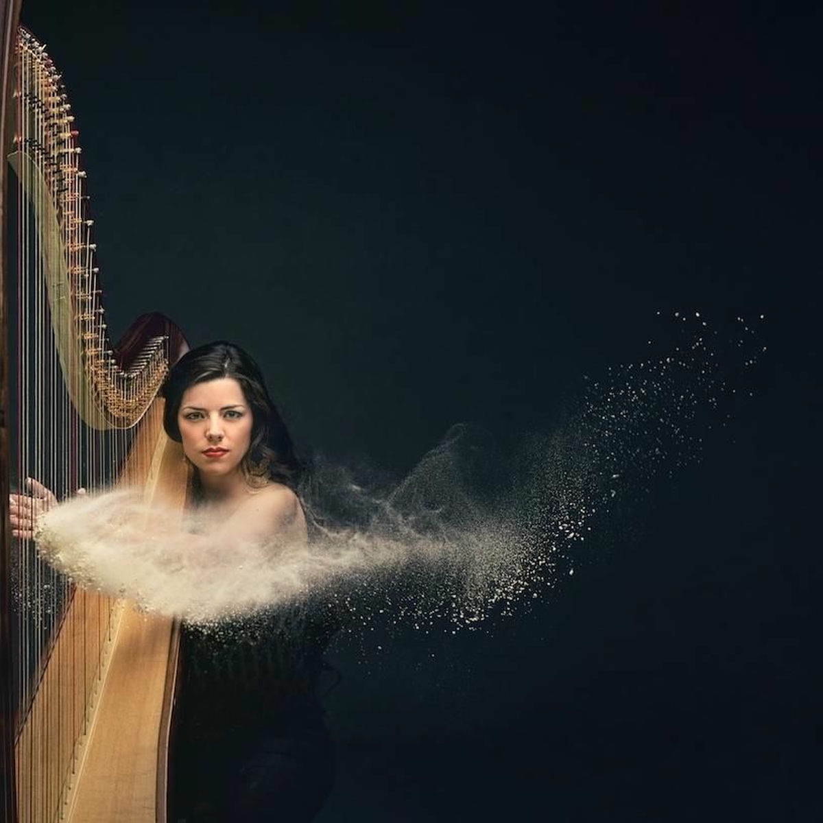 Artist picture of Elisa Netzer