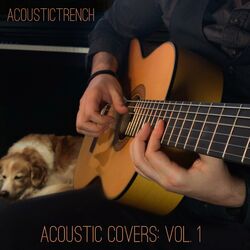 Picture of AcousticTrench