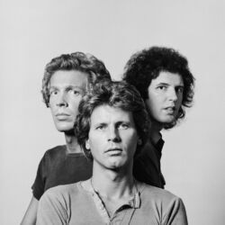 Picture of The Walker Brothers